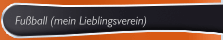 Fußball (mein Lieblingsverein)