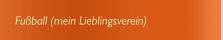 Fußball (mein Lieblingsverein)